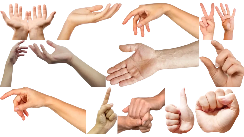 Hand Drawing Reference - different poses of real hands