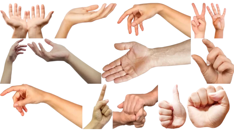 Hand collage