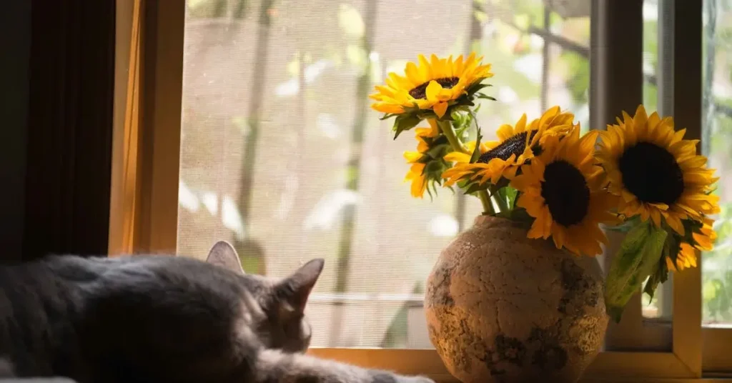 cat beside sunflowers as cat drawing ideas