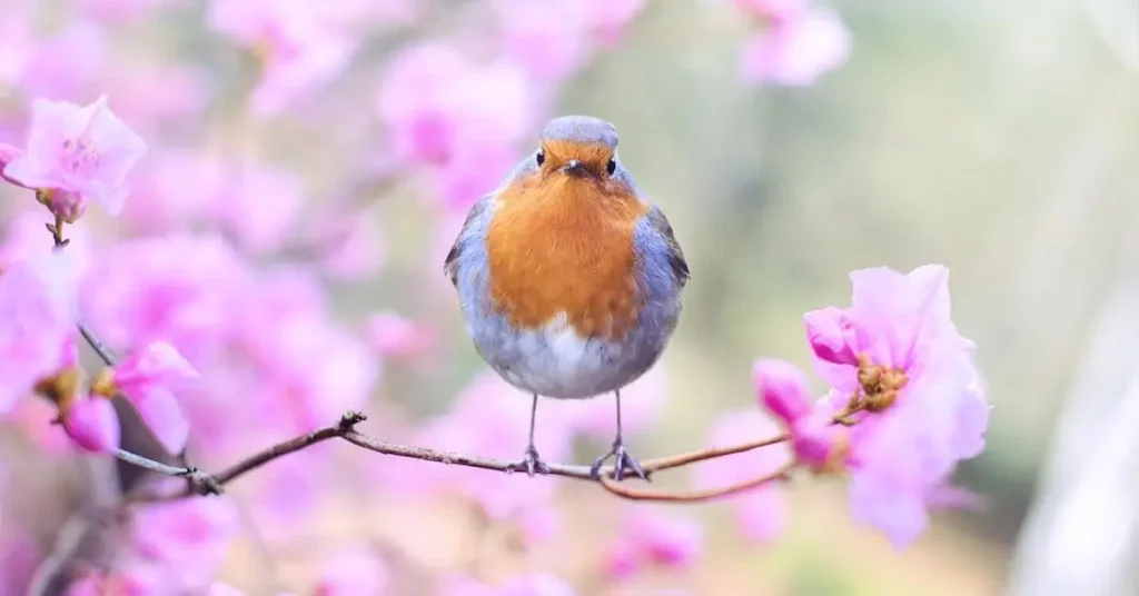 a bird as Spring Drawing Ideas