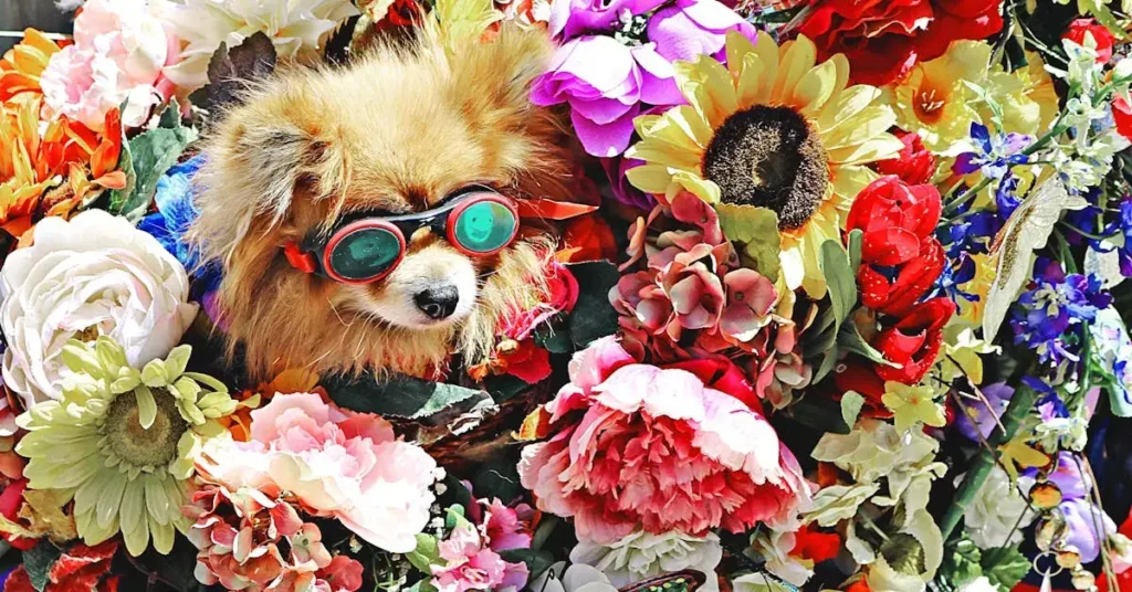 dog drawing ideas in flowers