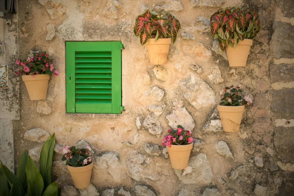 stone wall drawing references wall with plants