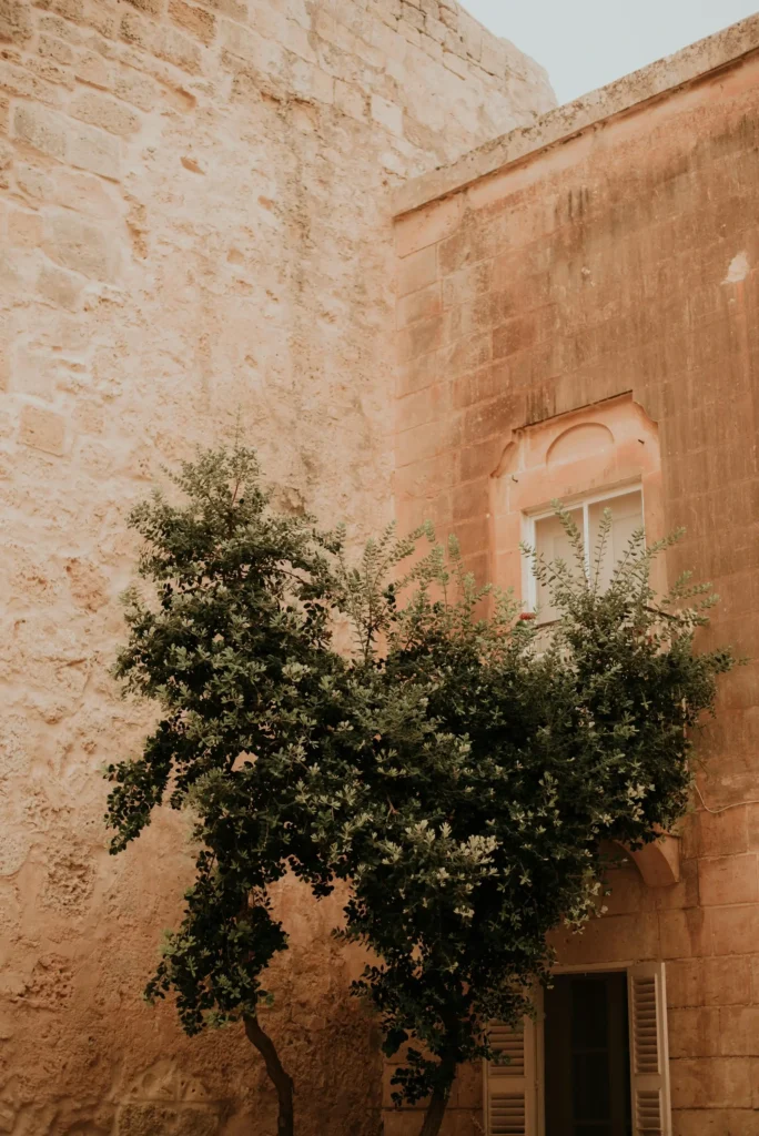 stone wall drawing references brown with a tree