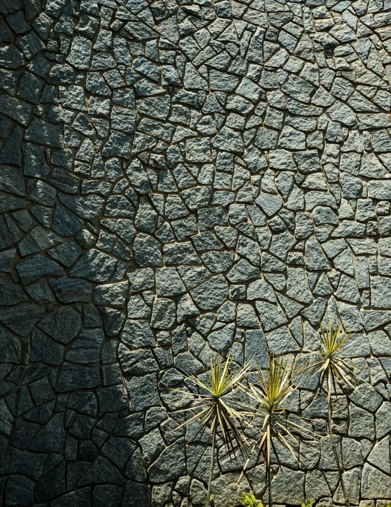 stone wall drawing references wall with grey stones and plants