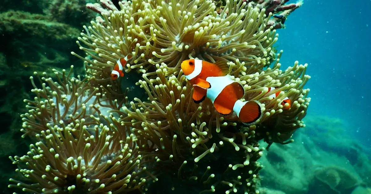pexels tomfisk 1125979