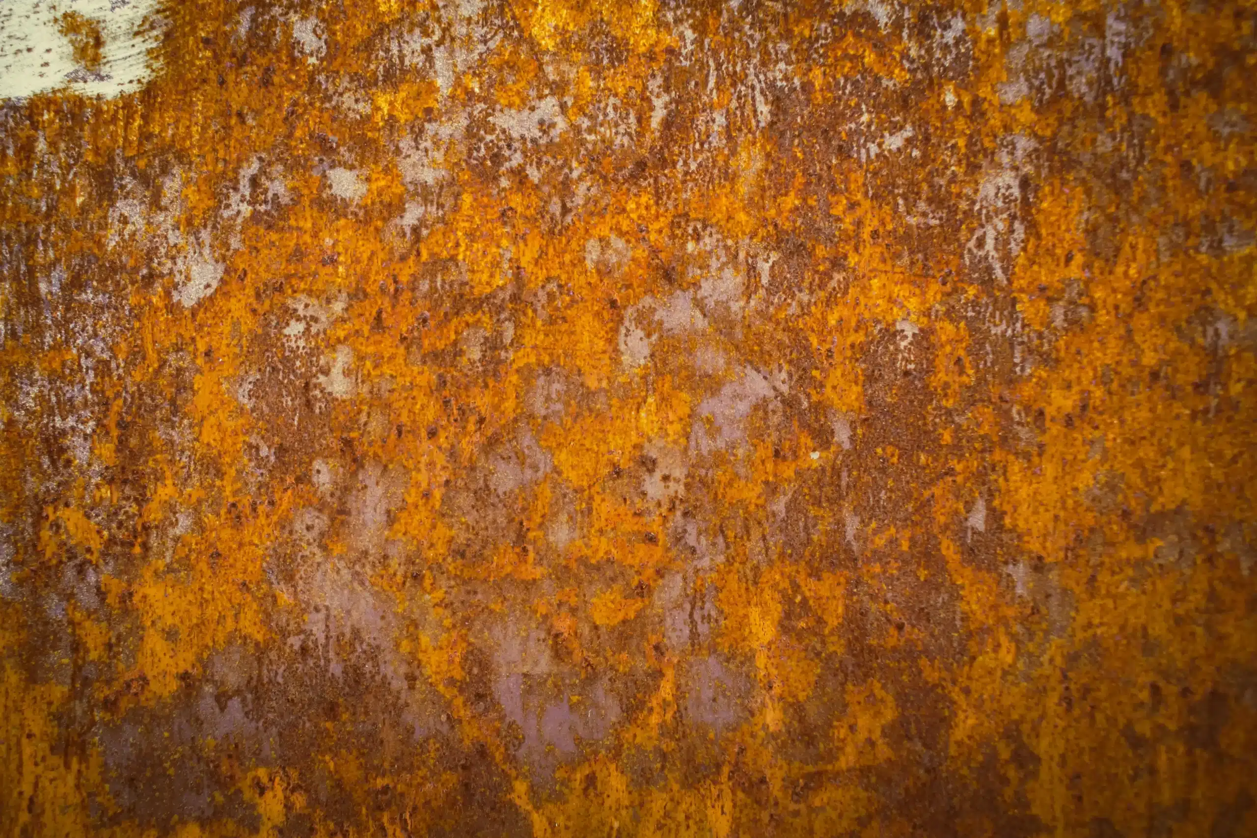 pexels nikiemmert 14903570 scaled