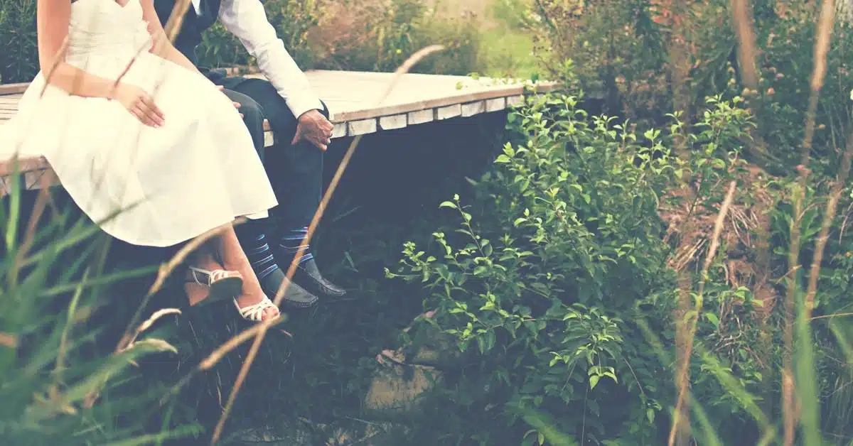 pexels scottwebb 136422