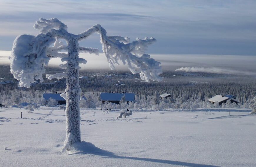 December Drawing Challenge – Quiet Joy and Winter Magic