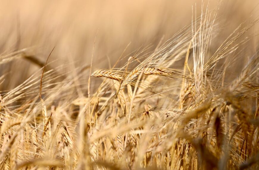 August Drawing Challenge – Warm Light, Soft Moments, and Late Summer Feels