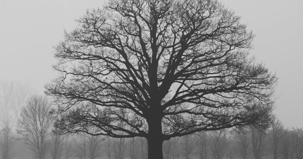 March Drawing Challenge tree