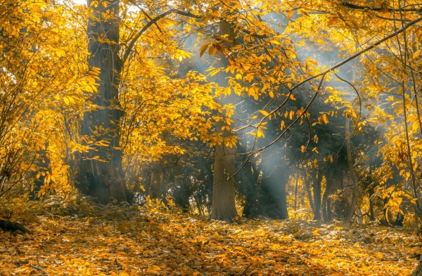 September Drawing Challenge – New Starts and Autumn Vibes