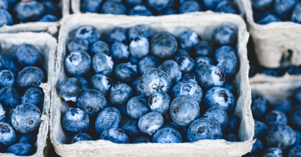 April Drawing Challenge Round blueberries
