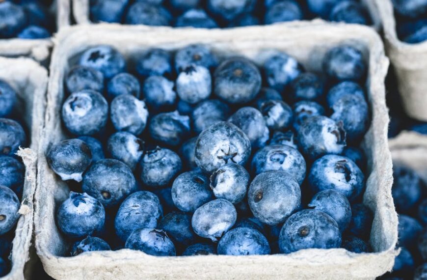 April Drawing Challenge – Light, Rain, and Quiet Change