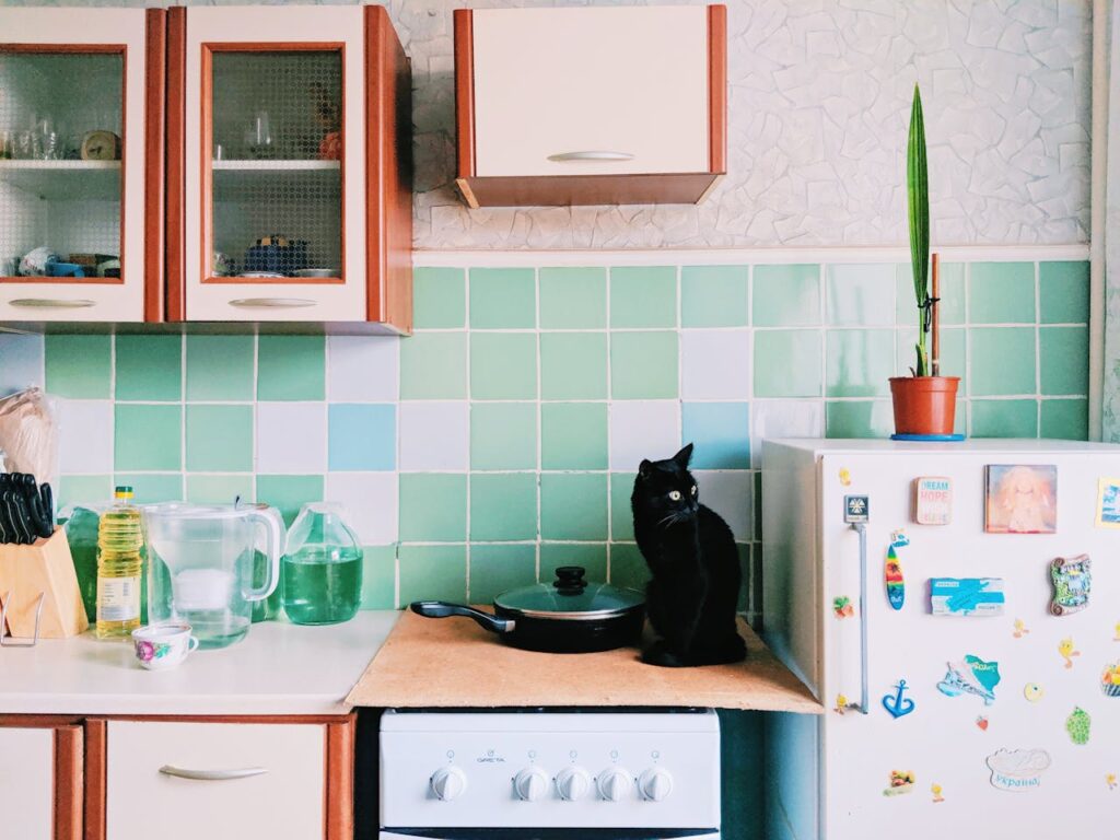 Kitchen Drawing Ideas cat on counter