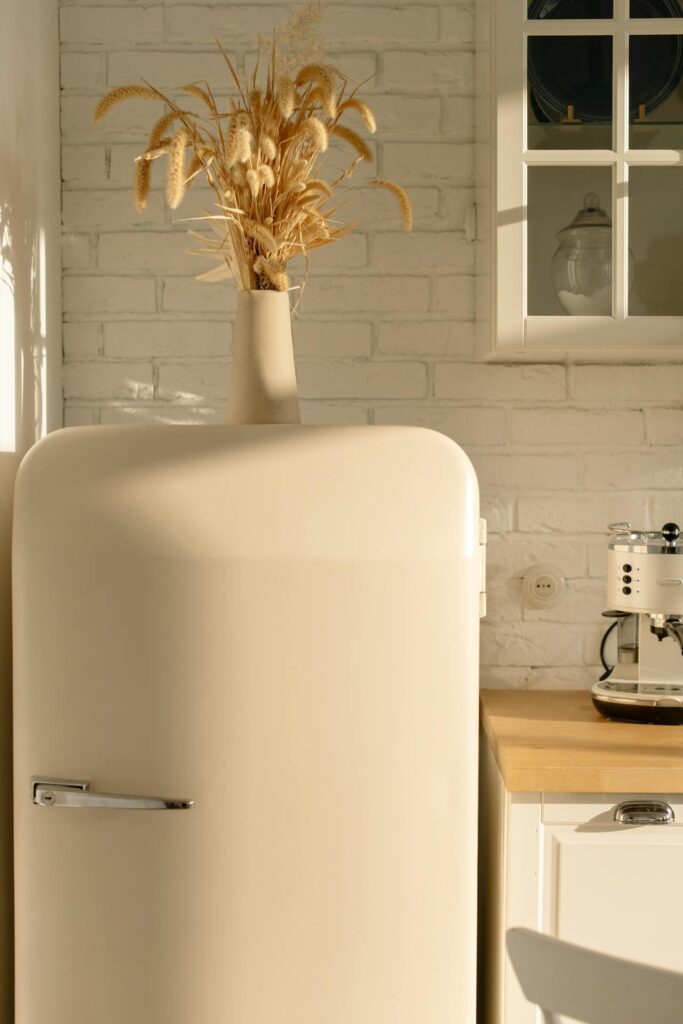 Fridge Drawing References