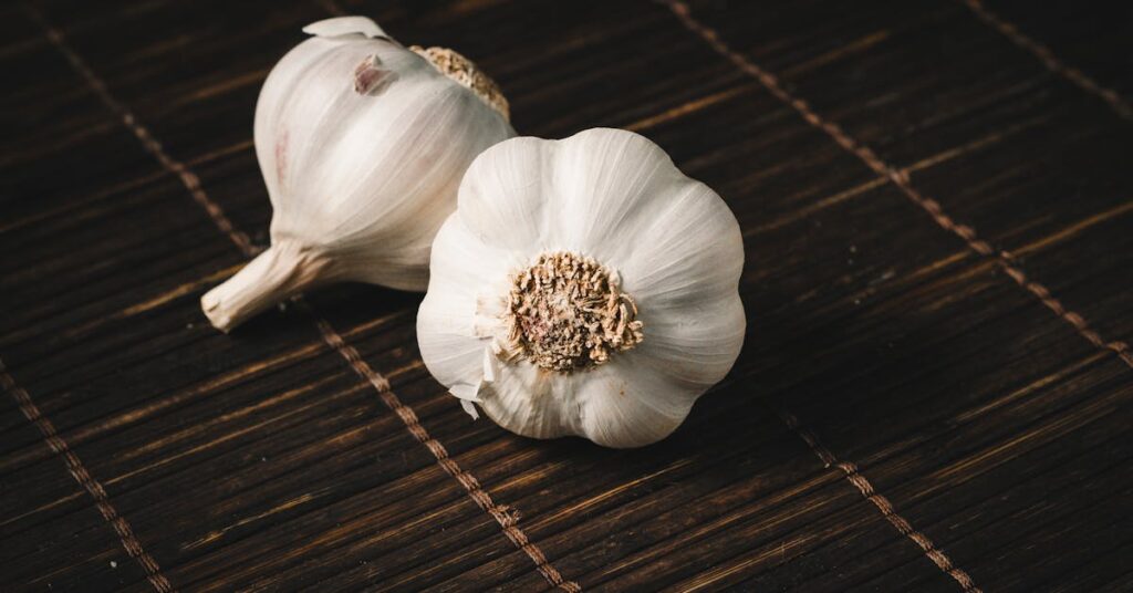 Vegetable Drawing Ideas garlic
